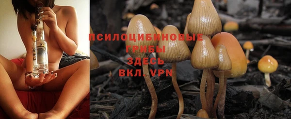 марки lsd Балахна