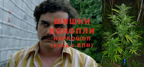 spice Балабаново